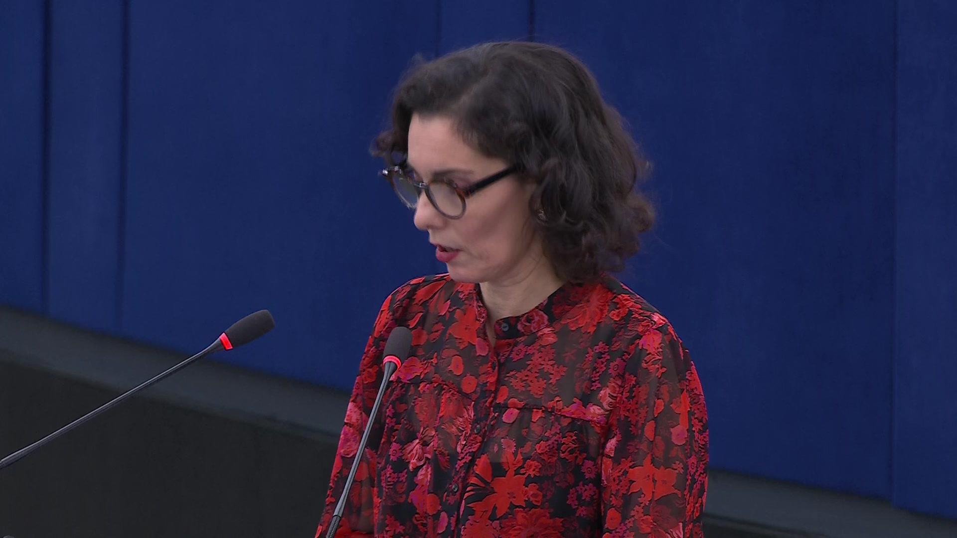 Escalation of the war and the humanitarian catastrophe in Sudan: opening statement by Hadja LAHBIB, European Commissioner for Equality, and European Commissioner for Preparedness and Crisis Management